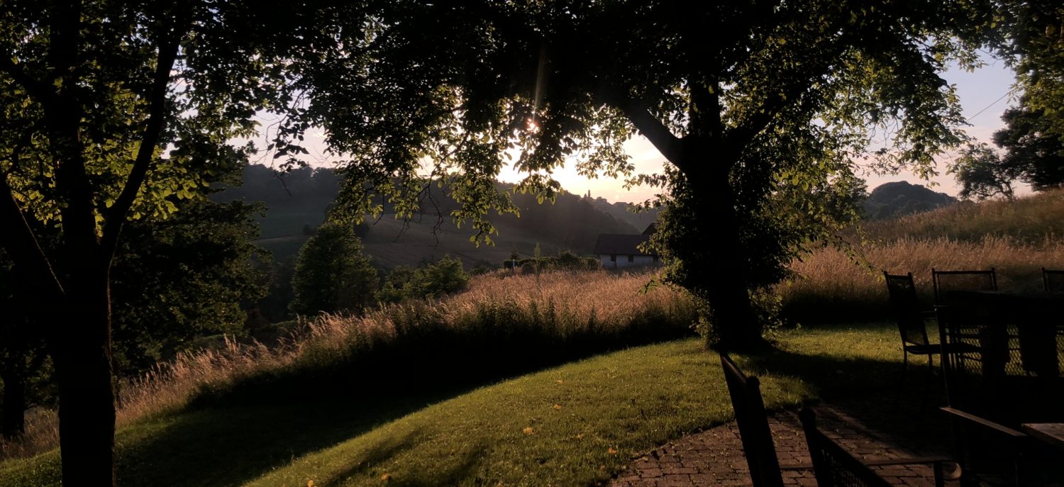 hello. this is sarah escapé coming to you live...